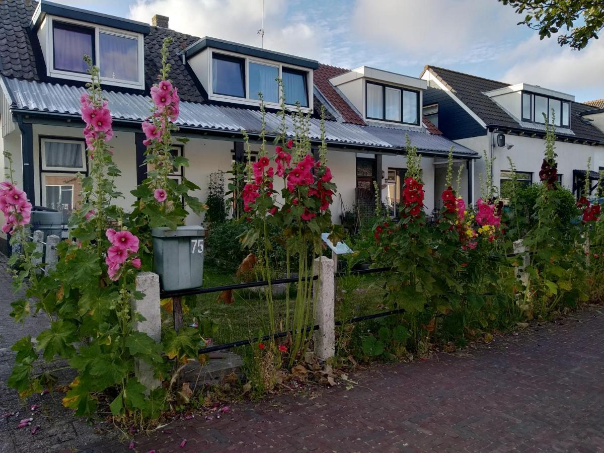 B&B TxL De Cocksdorp  Eksteriør billede